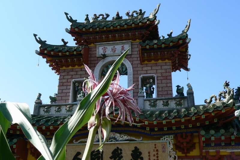 03 HOI AN Tempio Comunita Cinese